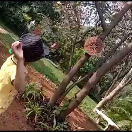 Lobville Homestay كارجات المظهر الخارجي الصورة