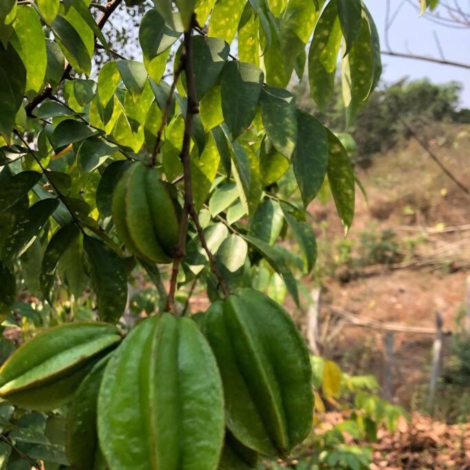 Lobville Homestay كارجات المظهر الخارجي الصورة
